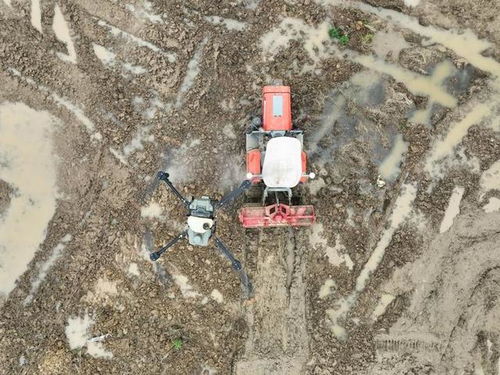 新時(shí)代中國(guó)調(diào)研行之看區(qū)域 中部篇 融媒一線(xiàn) 看,如此 接地氣 的科幻 農(nóng) 景